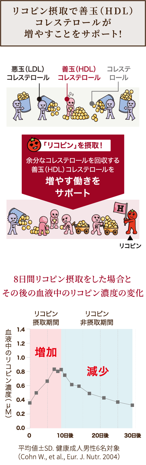 善玉（HDL）と悪玉（LDL）コレステロールの役割