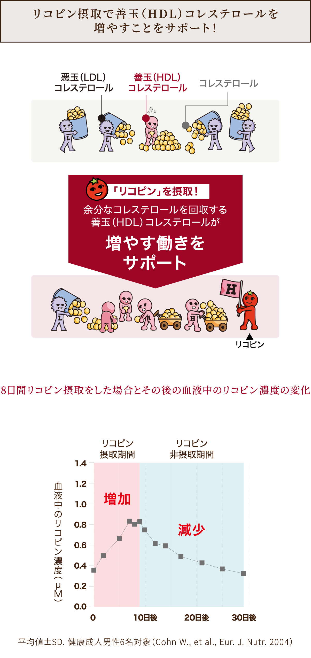 善玉（HDL）と悪玉（LDL）コレステロールの役割
