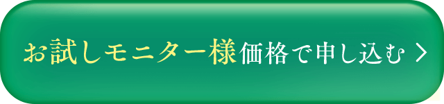 ���������j�^�[���i�Ő\������