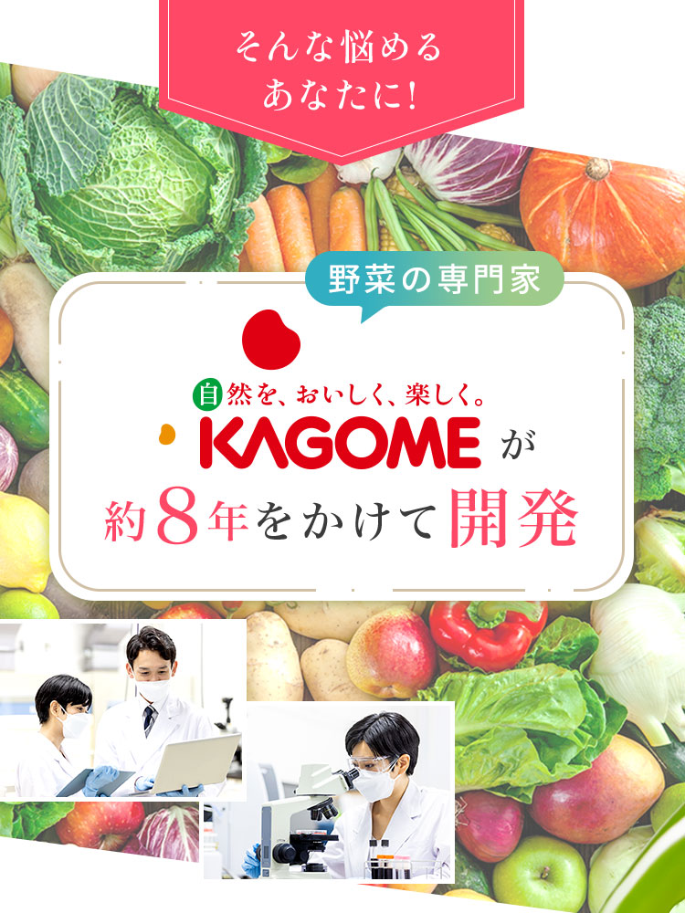 ����ȔY�߂邠�Ȃ��ɁA��؂̐���KAGOME����W�N�����ĊJ��