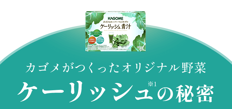 �J�S�����������I���W�i����� �P�[���b�V���̔閧