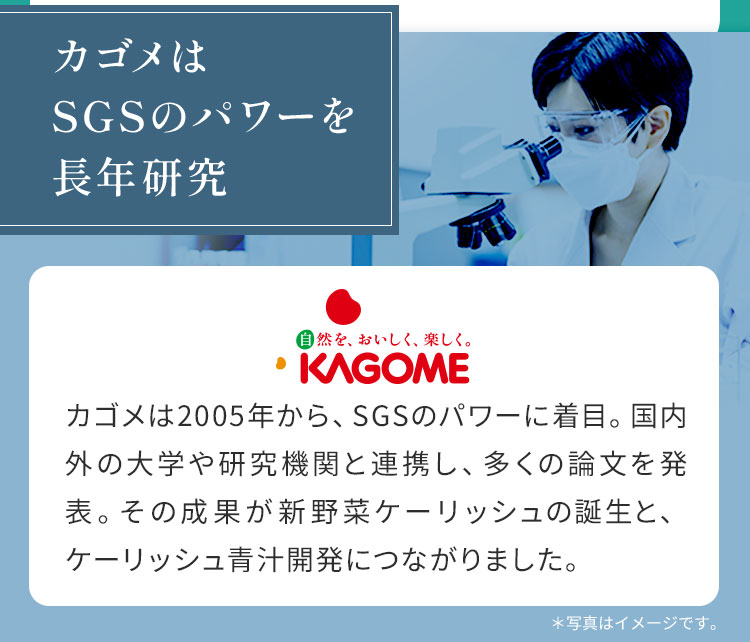 �J�S����SGS�̃p���[�𒷔N����