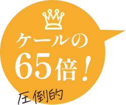 �P�[���̂U�T�{