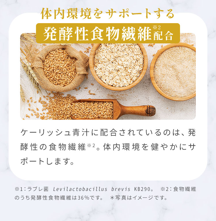 �̓������T�|�[�g���锭�y���H���@�۔z��