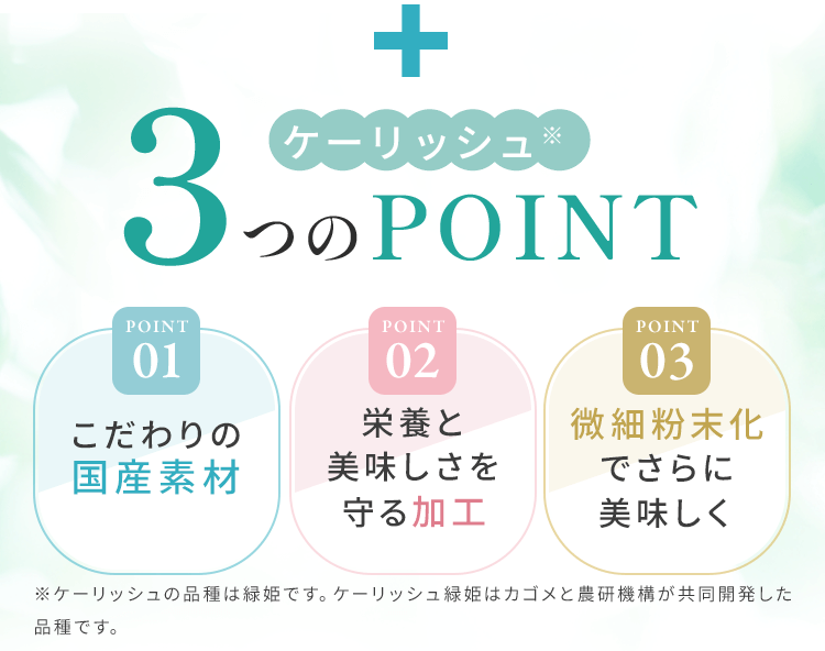 �P�[���b�V�����R��POINT