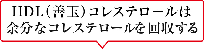 HDL（善玉）コレステロールは余分なコレステロールを回収する