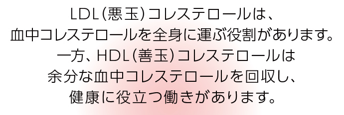 LDL（悪玉）コレステロールは、血中コレステロールを全身に運ぶ役割があります。一方、HDL（善玉）コレステロールは余分な血中コレステロールを回収し、健康に役立つ働きがあります。