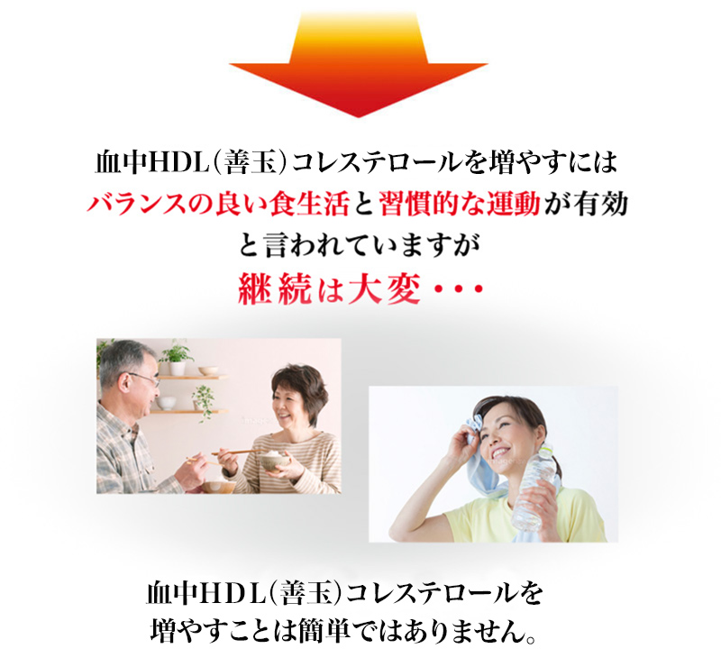 血中HDL（善玉）コレステロールを増やすにはバランスの良い食生活と習慣的な運動が有効と言われていますが継続は大変・・・血中HDL（善玉)コレステロールを増やすことは簡単ではありません。