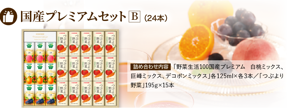 国産プレミアムセットB（24本）