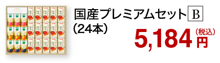 国産プレミアムセット B（24本）