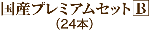 国産プレミアムセットB（24本）