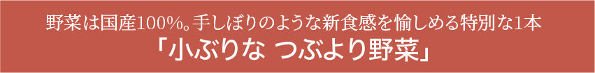 小ぶりな つぶより野菜