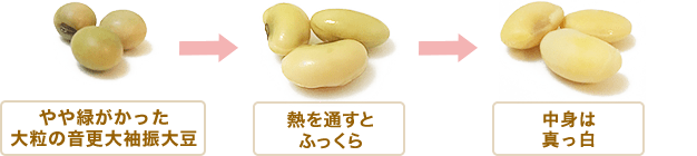 一般的な豆乳の製法