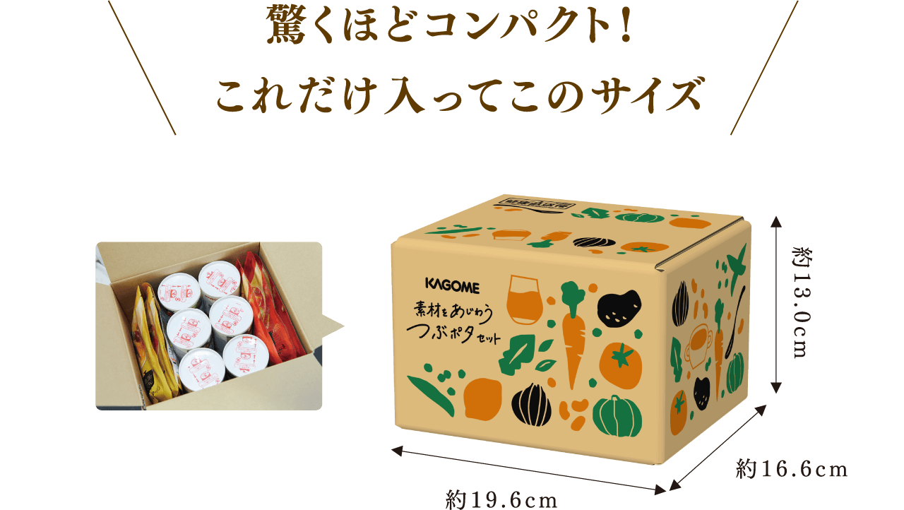 驚くほどコンパクト！ これだけ入ってこのサイズ
