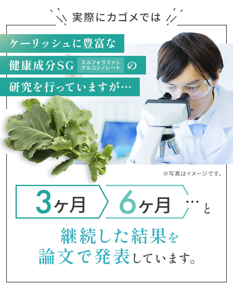 実際にカゴメではケーリッシュに豊富な健康成分SGの研究を行っていますが…3ヶ月、6ヶ月と継続した結果を論文で発表しています