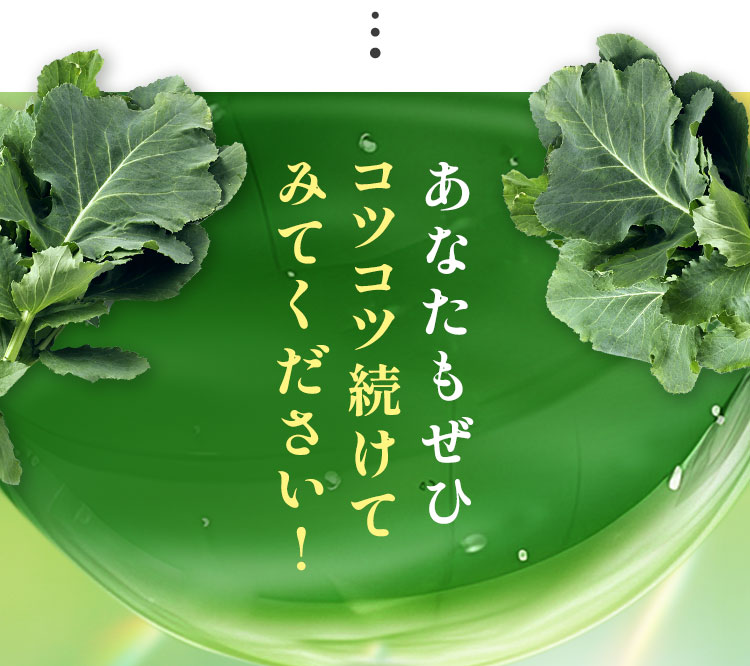 あなたもぜひコツコツ続けてみてください