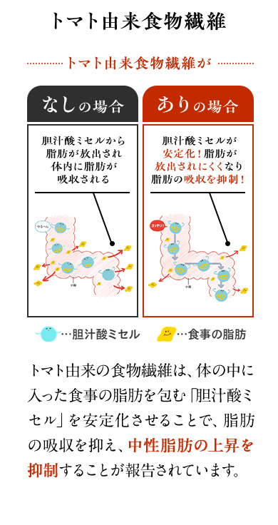 トマト由来食物繊維　トマト由来の食物繊維は、体の中に入った食事の脂肪を包む「胆汁酸ミセル」を安定化させることで、脂肪の吸収を抑え、中性脂肪の上昇を抑制することが報告されています。
