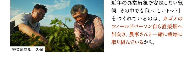 近年の異常気象で安定しない気候。その中でも「おいしいトマト」をつくれているのは、カゴメのフィールドパーソン自ら直接畑へ出向き、農家さんと一緒に栽培に取り組んでいるから。