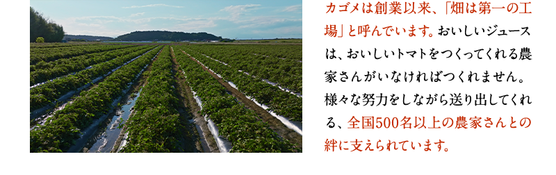 カゴメは創業以来、「畑は第一の工場」と呼んでいます。おいしいジュースは、おいしいトマトをつくってくれる農家さんがいなければつくれません。様々な努力をしながら送り出してくれる、全国500名以上の農家さんとの絆に支えられています。