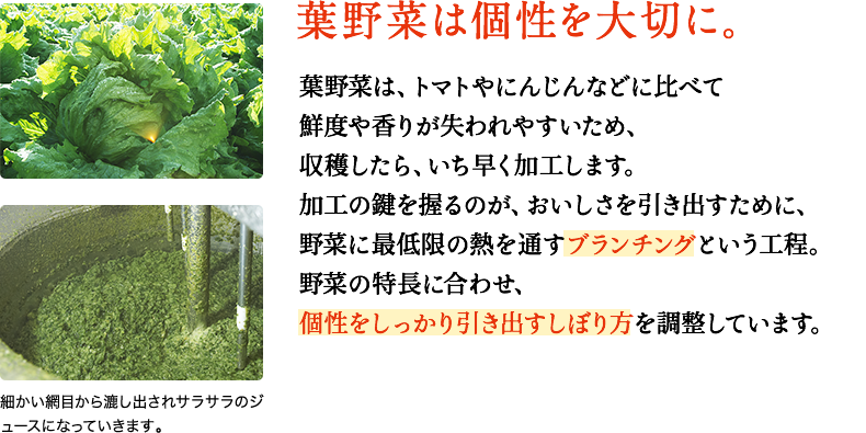 葉野菜は個性を大切に。　それぞれの野菜の特長に合わせ、個性をしっかり引き出す破砕方法や搾り方の強さを調整しています。
