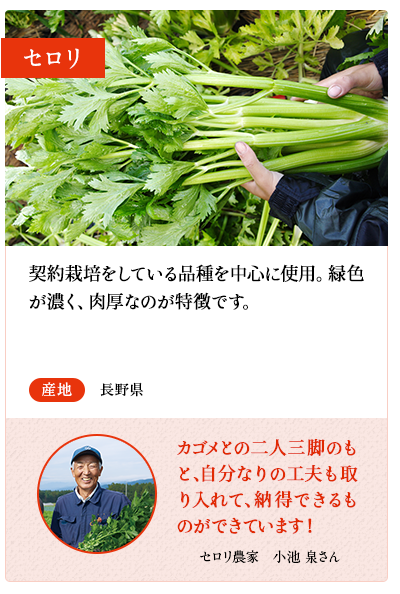 セロリ　契約栽培をしている品種を中心に使用。緑色が濃く、肉厚なのが特徴です。　産地 長野県　セロリ農家　小池 竜介さん 親子二代に渡り、厳しい農薬基準をクリアした新鮮なセロリ栽培に取り組んでいます。