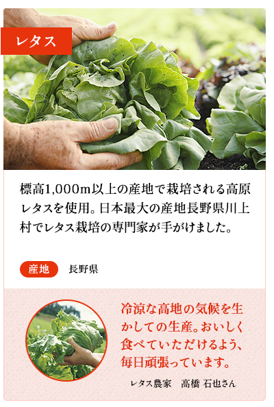 レタス　標高1,000m以上の産地で栽培される高原レタスを使用。日本最大の産地長野県川上村でレタス栽培の専門家が手がけました。　産地 長野県　レタス農家　高橋 石也さん 冷涼な高地の気候を生かしての生産。おいしく食べていただけるよう、毎日頑張っています。