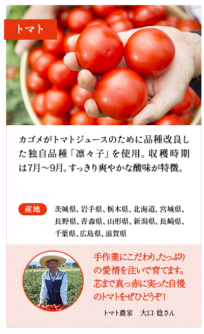 トマト　カゴメがトマトジュースのために品種改良した独自品種「凛々子」を使用。収穫時期は7月～9月。すっきり爽やかな酸味が特徴。　産地 茨城県、岩手県、栃木県、北海道、宮城県、長野県、青森県、山形県、新潟県、長崎県、千葉県、広島県、滋賀県　トマト農家　中根 匡志さん 夏の暑い中での収穫は大変ですが、丹精込めて育てた真っ赤に熟したトマトをお届けします！