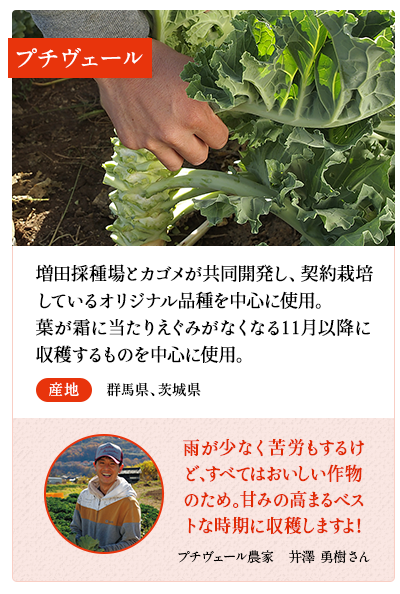 プチヴェール（R)　増田採種場とカゴメが共同開発し、契約栽培しているオリジナル品種を中心に使用。葉が霜に当たりえぐみがなくなる11月以降に収穫するものを中心に使用。　産地 群馬県、茨城県　プチヴェール農家　竹之内 光昭さん 甘みが出やすい恵まれた気候の中で、おいしいものを届けられるようにしっかり手をかけて育てています。　※プチヴェールは、株式会社増田採種場の登録商標です。