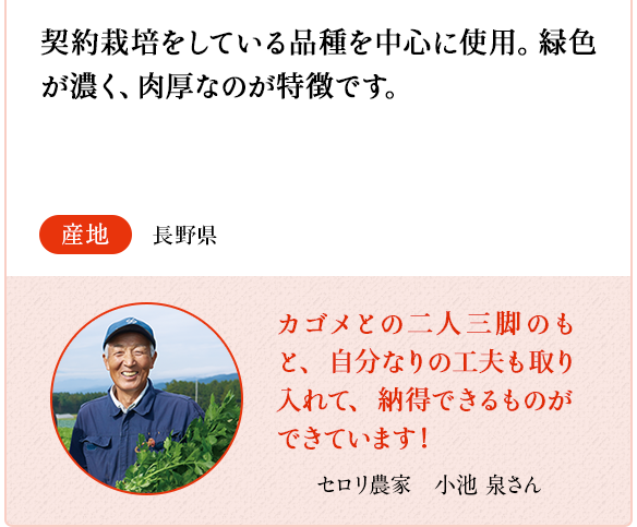 セロリ　契約栽培をしている品種を中心に使用。緑色が濃く、肉厚なのが特徴です。　産地 長野県　セロリ農家　小池 竜介さん 親子二代に渡り、厳しい農薬基準をクリアした新鮮なセロリ栽培に取り組んでいます。
