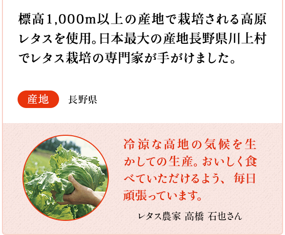 レタス　標高1,000m以上の産地で栽培される高原レタスを使用。日本最大の産地長野県川上村でレタス栽培の専門家が手がけました。　産地 長野県　レタス農家　高橋 石也さん 冷涼な高地の気候を生かしての生産。おいしく食べていただけるよう、毎日頑張っています。