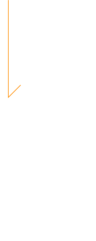 カゴメの想い