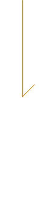 にんじん農家の想い