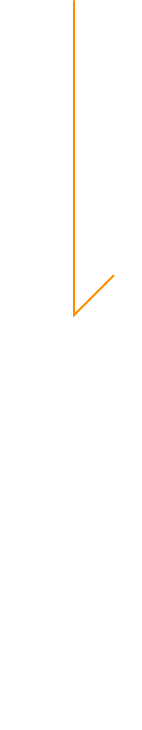 トマト農家の想い