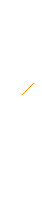 セロリ農家の想い