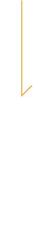 プチヴェール農家の想い