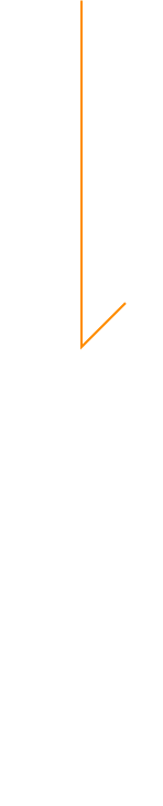 プチヴェール農家の想い
