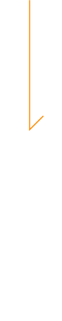 ほうれん草農家の想い