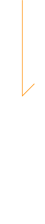 ほうれん草農家の想い