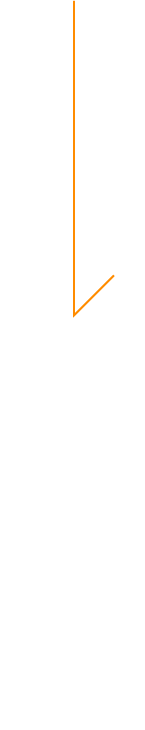 レタス農家の想い