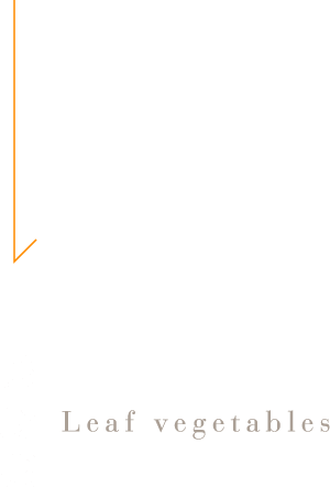 葉野菜