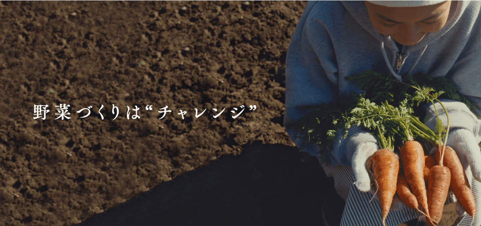 野菜づくりは“チャレンジ”