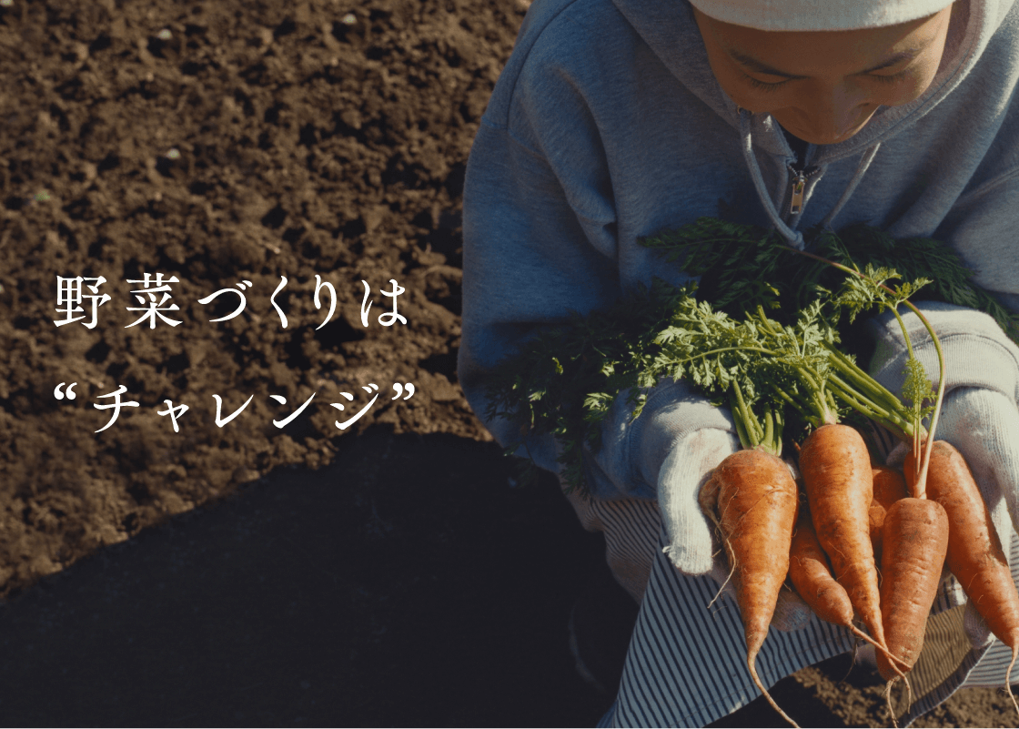 野菜づくりは“チャレンジ”